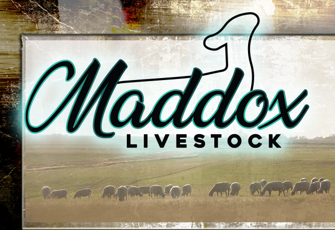 Maddox Livestock