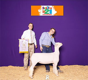 Maddox Winners