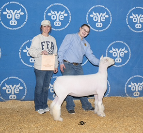 Maddox Winners