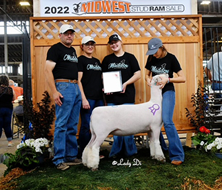 Maddox Winners