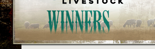 Winners