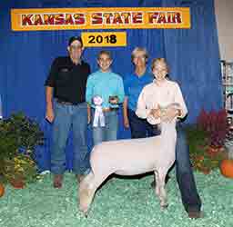 Maddox Winners
