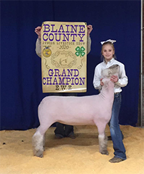 Maddox Winners