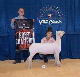 Maddox Winners