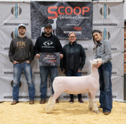 Maddox Winners