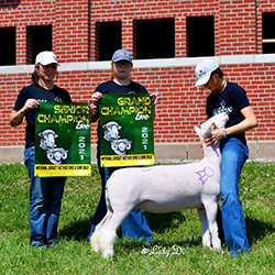 Maddox Winners