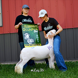 Maddox Winners