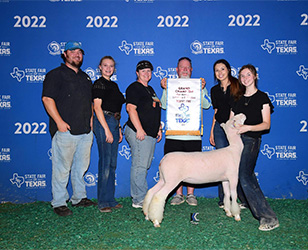 Maddox Winners